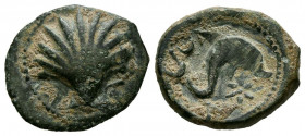 ARSE-SAGUNTO (Sagunto, Valencia). Sextante. (Ae. 1,73g/15mm). 170-20 a.C. (FAB-2064). Anv: Concha. Rev: Delfín a derecha, encima creciente, debajo let...