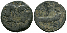 AUGUSTO. As. (Ae. 13,53g/27mm). 10-14 d.C. Colonia Nemasus. (RIC 158). Anv: Busto laureado de Augusto a izquierda, detrás busto laureado de Agripa a d...
