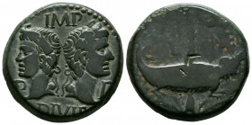 AUGUSTO. Dupondio. (Ae. 12,65g/25mm). 10-14 d.C. Galia, Nemausus. (RIC 160). Anv: Cabezas laureadas de Augusto y Agrippa, a ambos lados P-P, alrededor...
