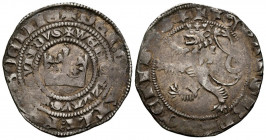 REPUBLICA CHECA, Wenceslaus II (1278-1304). Groschen. (Ae. 3,70g/28mm). Praga. (Donebauer 807). MBC/MBC+.