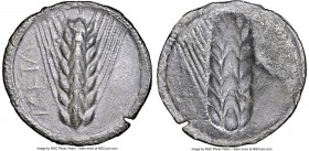 LUCANIA. Metapontum. Ca. 540-510 BC. AR stater (27mm, 7.24 gm, 12h). NGC (photo-certificate) Choice VF 5/5 - 2/5. META?, seven-grained barley ear; dot...