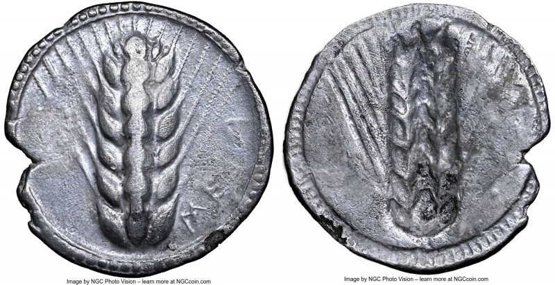 LUCANIA. Metapontum. Ca. 540-510 BC. AR stater (27mm, 7.24 gm, 12h). NGC (photo-...