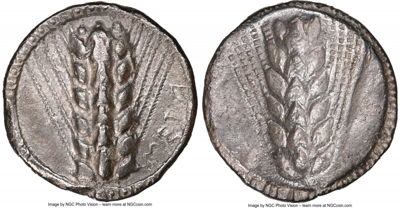 LUCANIA. Metapontum. Ca. 510-470 BC. AR stater (23mm, 7.69 gm, 12h). NGC Choice ...