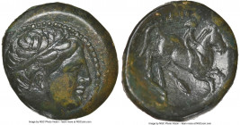 MACEDONIAN KINGDOM. Philip II (359-336 BC). AE unit (19mm, 7h). NGC Choice VF. Uncertain mint in Macedonia. Head of Apollo right, wearing taenia / ?I?...