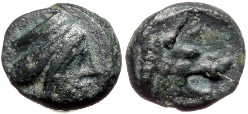 Argolis, Argos AE (Bronze, 0.99g, 9mm) ca 400-375 BC
Obv: Head of Hera right, we...