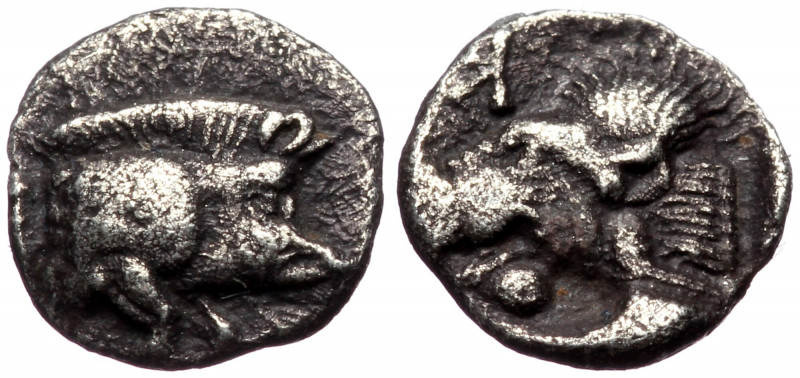 Mysia, Kyzikos AR hemiobol (Silver, 0,33g, 7mm) ca 525-475 BC.
Obv: Forepart of ...