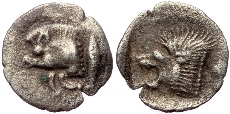 MYSIA, Kyzikos AR hemiobol (Silver, 0,26g, 9mm) ca 450-400 BC. 
Obv: Forepart of...