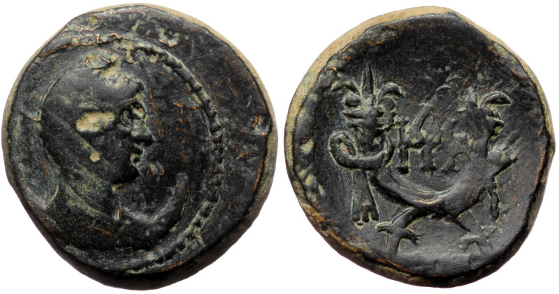 Kings of Galatia. Deiotaros, mint?, AE (bronze, 12,02 g, 24 mm) ca. 62-40 BC
Obv...