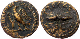 Hadrian (117-138) AE Quadrans (Bronze 3,04g, 19mm) Rome,128-129 
Obv: IMP CAESAR TRAIAN HADRIANVS AVG, eagle standing right, head left. 
Rev: P M TR P...