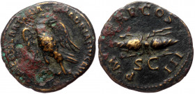 Hadrian (117-138) AE Quadrans (Bronze 2,64g 18mm) Rome, 128-129 
Obv: IMP CAESAR TRAIAN HADRIANVS AVG, eagle standing right, head left. 
Rev: P M TR P...