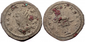 Gallien (264-265), BI antoninianus (Billon, 23,0 mm, 3,95 g), Antioch, 264-265. 
Obv: GALLIENVS AVG, radiate and cuirassed bust of Gallien right. 
Rev...