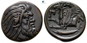Cimmerian Bosporos. Pantikapaion circa 325-310 BC. Bronze Æ