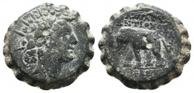 Seleukid Kingdom. Antioch on the Orontes. Antiochos VI Dionysos. 144-142 BC. Serrate Æ, Very Fine
6.4 gr