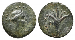 Asia Minor. Uncertain. 400-100 BC. Bronze Æ, Fine
1.3 gr