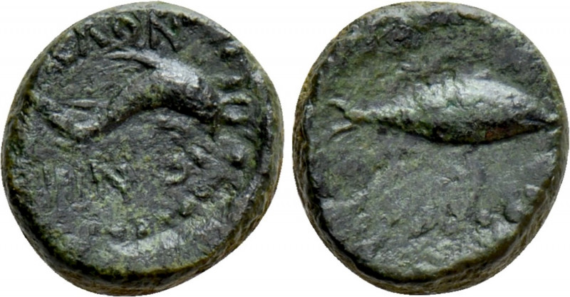 SICILY. Solous. Ae (Circa late 2nd-early 1st century BC). 

Obv: COLON / TINΩN...
