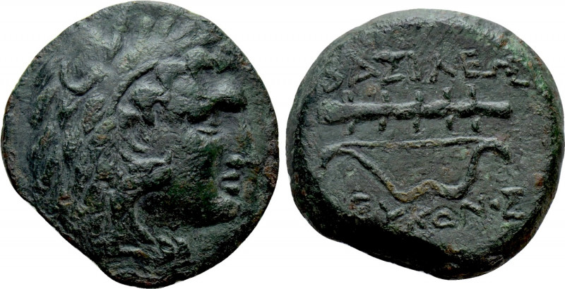 KINGS OF BOSPOROS. Leukon II (Circa 240-220 BC). Ae. 

Obv: Head of Herakles r...