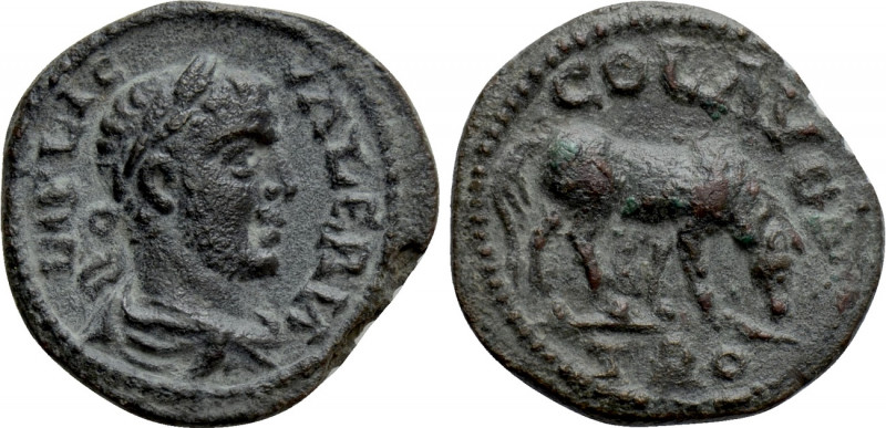 TROAS. Alexandria. Valerian I (253-260). Ae As. 

Obv: IMP LIC VALERIA. 
Laur...