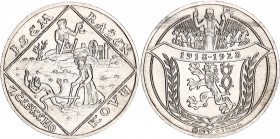 Czechoslovakia Silver Medal "10th Anniversary of 1st Czechoslovak Republic" 1928
Müseler 69/4; Silver (.987) 19.90 g., 33.80 mm; by Spaniel; Obv: Jse...