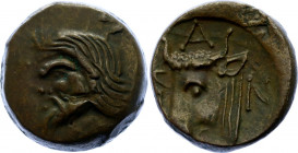 Ancient Greece Pantikapaion AE17 400 - 300 BC
BMC# 16; Copper., 4.74 g.; Obv: Head of young Pan left. Rev: PAN, head and neck of bull left; VF/XF.