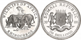 Somalia 250 Shillings 2000 
N# 144867; Silver., Proof; Rhinoceros; With hairlines.