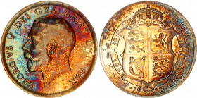 Great Britain 1/2 Crown 1918
KM# 818.1; Sp# 4011; N# 3156; Silver; George V; AUNC with beautiful patina.
