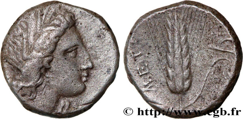 LUCANIA - METAPONTUM
Type : Nomos ou didrachme 
Date : c. 430-400 AC. 
Mint name...