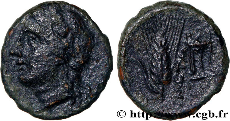 LUCANIA - METAPONTUM
Type : Demi-unité 
Date : c. 275-250 AC. 
Mint name / Town ...