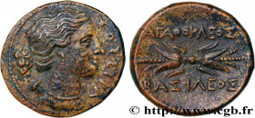 SICILY - SYRACUSE
Type : Hemilitron 
Date : c. 295-289 AC. 
Mint name / Town : Syracuse, Sicile 
Metal : copper 
Diameter : 21,5  mm
Orientation dies ...
