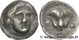 CARIA - CARIAN ISLANDS - RHODES
Type : Hemidrachme  
Date : c. 340-316 AC. 
Mint name / Town : Rhodes, Carie 
Metal : silver 
Diameter : 12,5  mm
Orie...