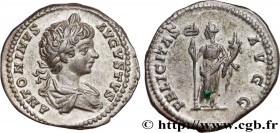 CARACALLA
Type : Denier 
Date : 201 
Mint name / Town : Rome 
Metal : silver 
Millesimal fineness : 550  ‰
Diameter : 18  mm
Orientation dies : 1  h.
...