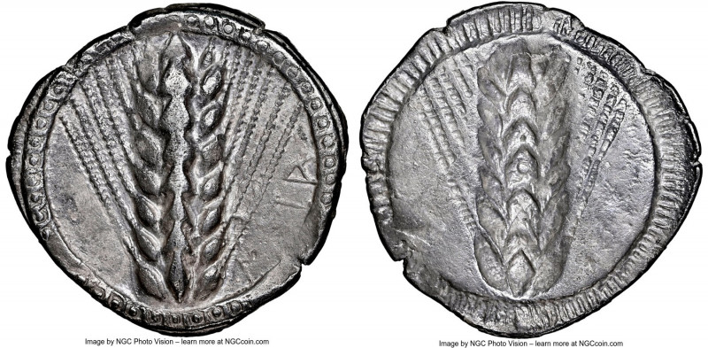 LUCANIA. Metapontum. Ca. 510-470 BC. AR stater (24mm, 7.02 gm, 12h). NGC (photo-...