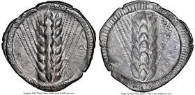 LUCANIA. Metapontum. Ca. 510-470 BC. AR stater (24mm, 7.02 gm, 12h). NGC (photo-certificate) XF 5/5 - 3/5. META, six-grained barley ear; guilloche bor...