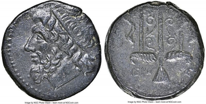 SICILY. Syracuse. Hieron II (ca. 275-215 BC). AE litra (19mm, 10h). NGC Choice X...