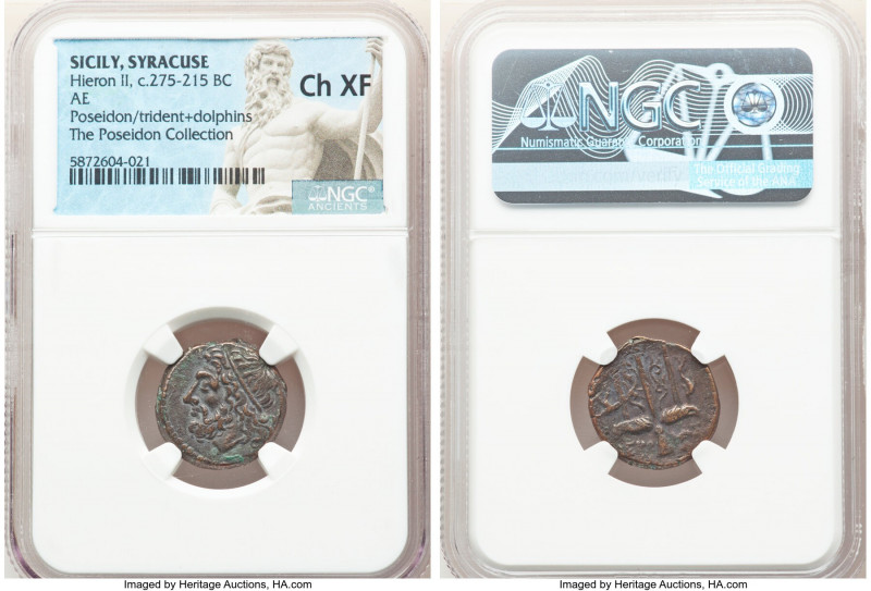 SICILY. Syracuse. Hieron II (ca. 275-215 BC). AE litra (19mm, 11h). NGC Choice X...