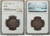 British Colony. Victoria 18 Piastres 1901 XF45 NGC, London mint, KM7. One year type. 

HID09801242017

© 2022 Heritage Auctions | All Rights Reser...