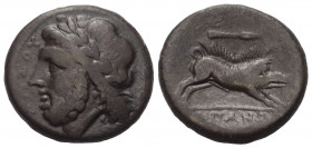 Apulien. Arpi.

 Bronze. Ca. 325 - 275 v. Chr.
Vs: Kopf des Zeus mit Lorbeerkranz links, dahinter Blitzbündel.
Rs: Eber nach rechts springend, dar...