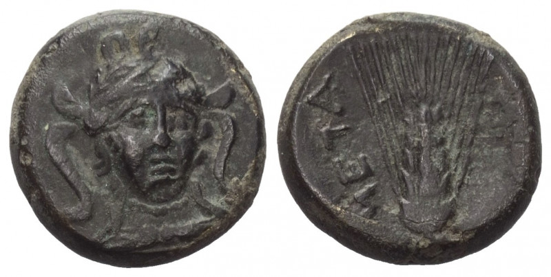 Lukanien. Metapont.

 Bronze. Ca. 300 - 250 v. Chr.
Vs: Kopf der Athena mit a...