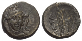 Lukanien. Metapont.

 Bronze. Ca. 300 - 250 v. Chr.
Vs: Kopf der Athena mit attischem Helm und Lorbeerkranz en face, leicht nach rechts gewendet.
...