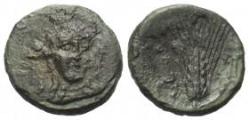 Lukanien. Metapont.

 Bronze. Ca. 300 - 250 v. Chr.
Vs: Kopf der Athena mit attischem Helm und Lorbeerkranz en face, leicht nach rechts gewendet.
...