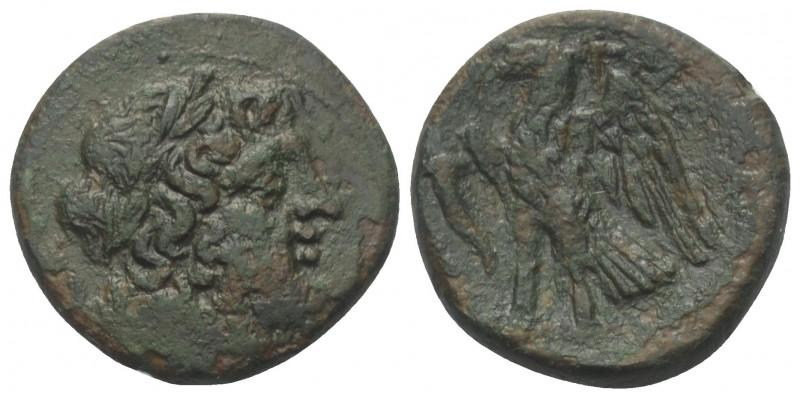 Bruttium. Brettii.

 Bronze. Ca. 214 - 211 v. Chr.
Vs: Kopf des Zeus mit Lorb...