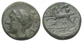 Bruttium. Brettii.

 Bronze. Ca. 211 - 208 v. Chr.
Vs: Kopf der Nike links.
Rs: Zeus in Biga im Galopp nach links fahrend, zwischen den Beinen Pfl...