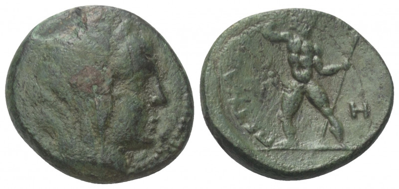 Bruttium. Petelia.

 Bronze. Ca. 204 - 89 v. Chr.
Vs: Kopf der Demeter mit Sc...