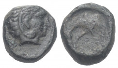 Thessalien. Skotoussa.

 Bronze. Ca. 394 - 367 v. Chr.
Vs: Kopf des jugendlichen Herakles mit Löwenfell rechts.
Rs: Vorderteil eines Pferdes mit g...