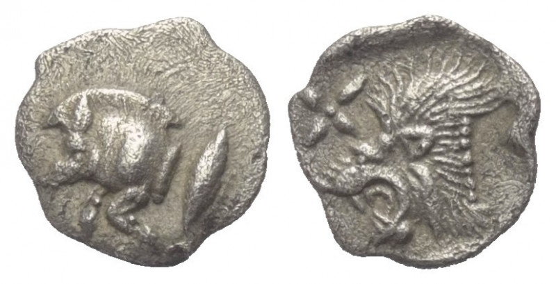 Mysien. Kyzikos.

 Hemiobol (Silber). Ca. 450 - 400 v. Chr.
Vs: Vorderteil ei...