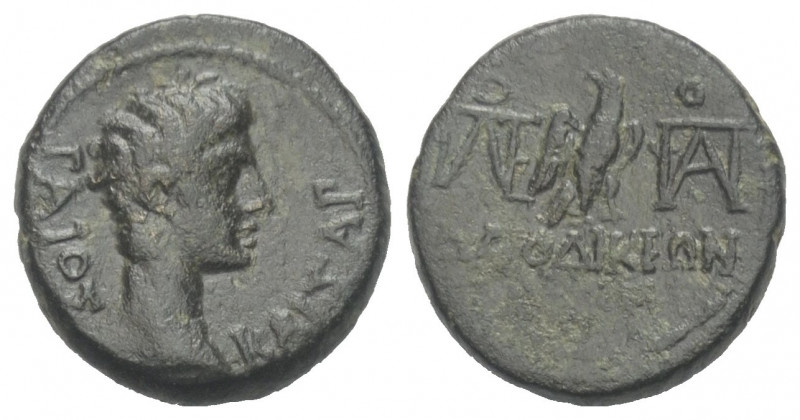 Phrygien. Laodikeia. Gaius Caesar (gest. 4 n. Chr.).

 Bronze. Ca. 5 v. Chr. (...