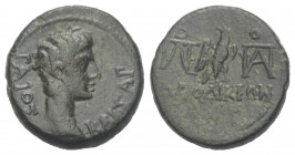 Phrygien. Laodikeia. Gaius Caesar (gest. 4 n. Chr.).

 Bronze. Ca. 5 v. Chr. (unter Augustus).
Vs: Kopf des Gaius Caesar rechts.
Rs: Adler mit zur...