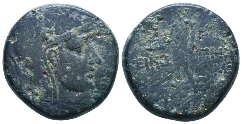 Paphlagonia. Sinope 120-63 BC. AE Condition: Very Fine 

 Weight: 19,6 gr Diam...