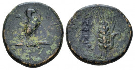 Apulia, Azetium Bronze circa 300-275