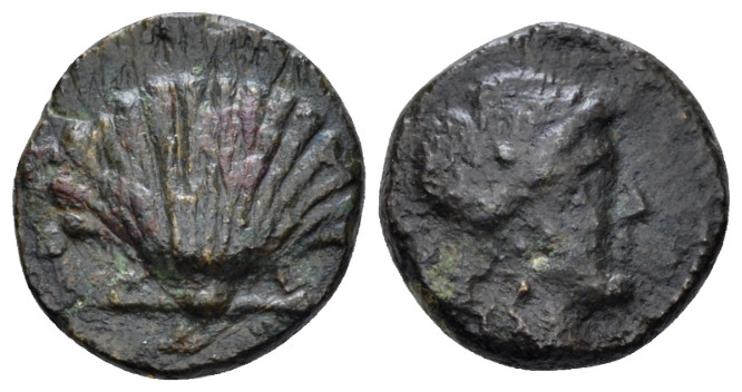 Apulia, Graxa Bronze circa 250-225, Æ 14.00 mm., 1.82 g. Cockle shell. Rev. Eag...