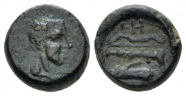 Lucania, Heraclea Bronze After 278